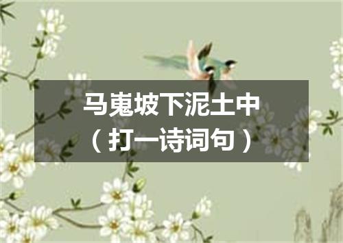 马嵬坡下泥土中（打一诗词句）