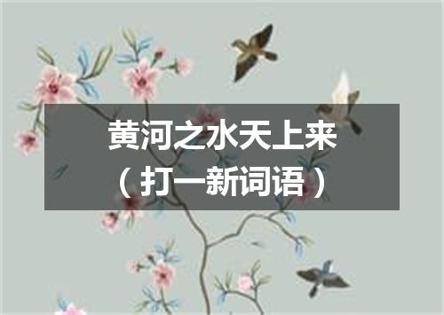 黄河之水天上来（打一新词语）