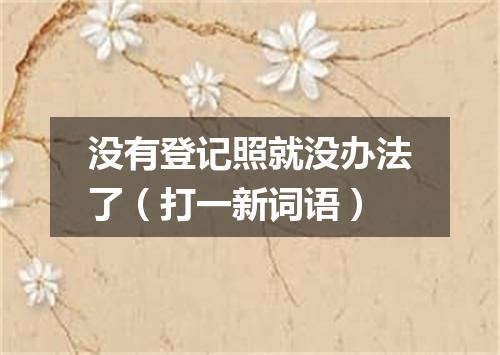 没有登记照就没办法了（打一新词语）