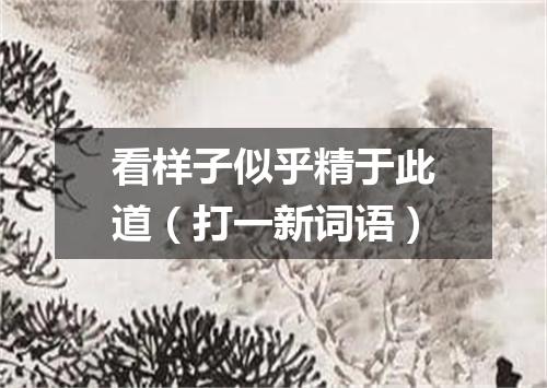 看样子似乎精于此道（打一新词语）