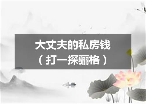 大丈夫的私房钱（打一探骊格）