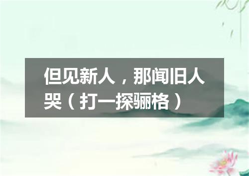 但见新人，那闻旧人哭（打一探骊格）