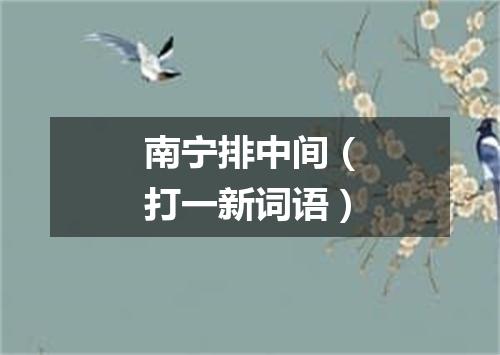 南宁排中间（打一新词语）