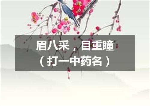 眉八采，目重瞳（打一中药名）