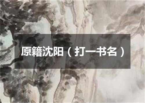 原籍沈阳（打一书名）