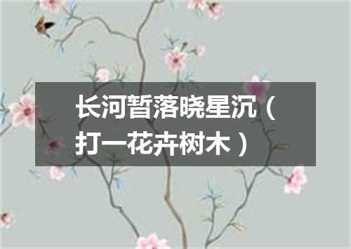 长河暂落晓星沉（打一花卉树木）