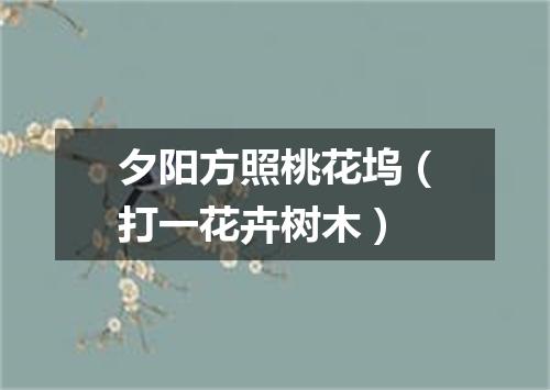 夕阳方照桃花坞（打一花卉树木）