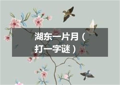 湖东一片月（打一字谜）