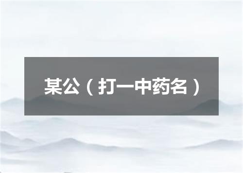 某公（打一中药名）