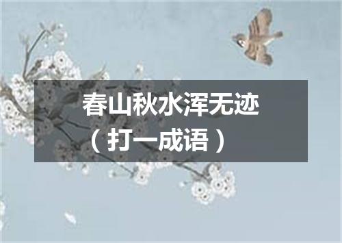 春山秋水浑无迹（打一成语）