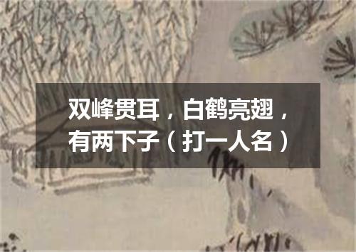 双峰贯耳，白鹤亮翅，有两下子（打一人名）