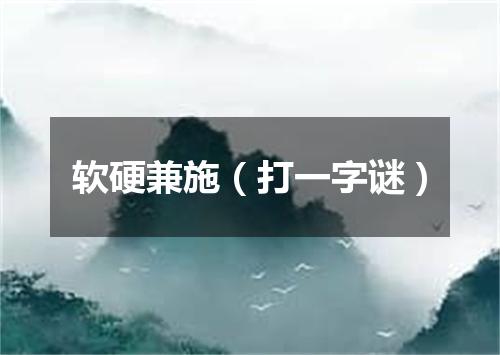 软硬兼施（打一字谜）