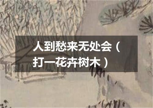 人到愁来无处会（打一花卉树木）