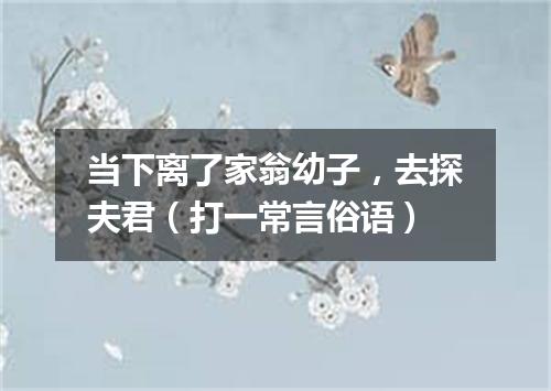 当下离了家翁幼子，去探夫君（打一常言俗语）