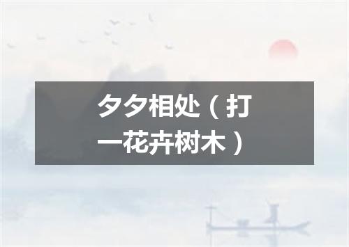 夕夕相处（打一花卉树木）