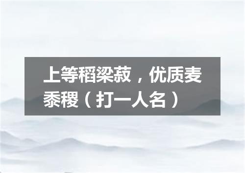 上等稻梁菽，优质麦黍稷（打一人名）