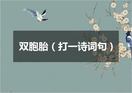 双胞胎（打一诗词句）