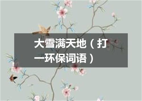 大雪满天地（打一环保词语）