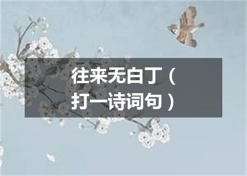 往来无白丁（打一诗词句）