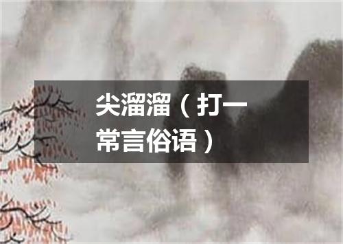 尖溜溜（打一常言俗语）