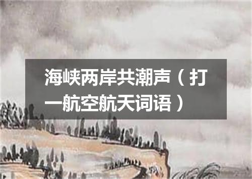 海峡两岸共潮声（打一航空航天词语）