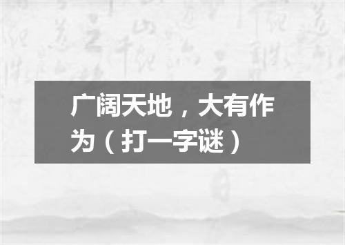 广阔天地，大有作为（打一字谜）