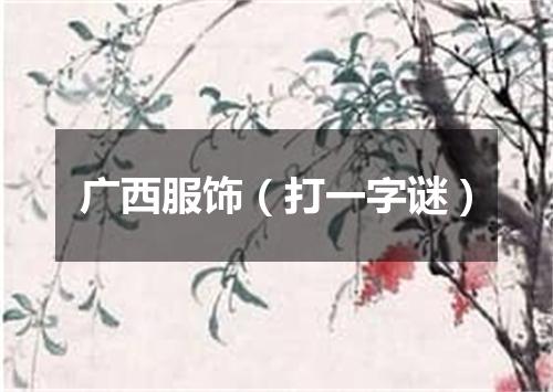 广西服饰（打一字谜）