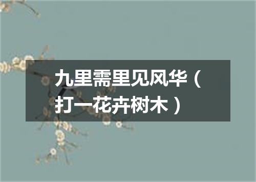 九里需里见风华（打一花卉树木）
