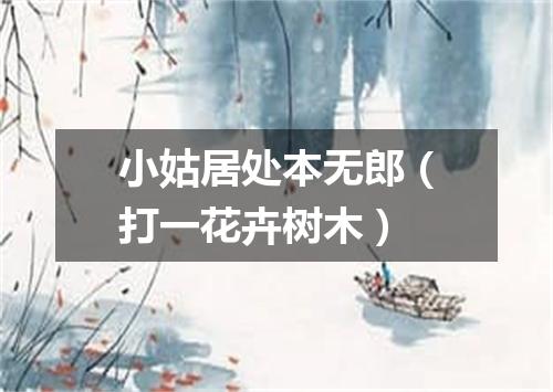 小姑居处本无郎（打一花卉树木）