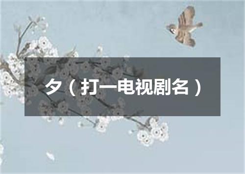 夕（打一电视剧名）