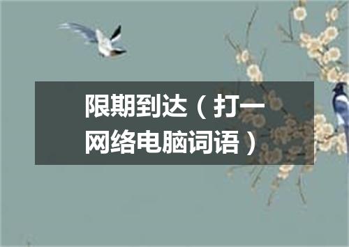 限期到达（打一网络电脑词语）