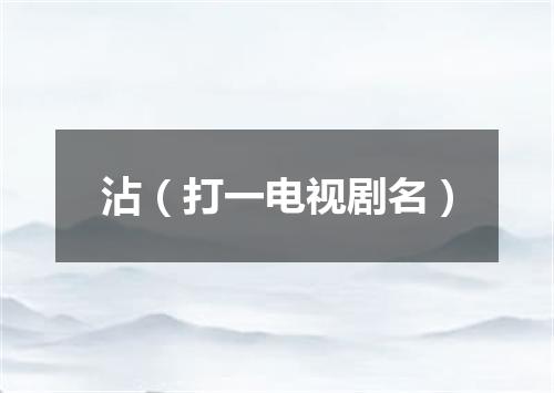 沾（打一电视剧名）