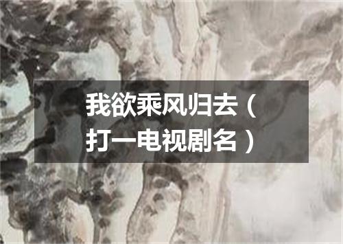 我欲乘风归去（打一电视剧名）