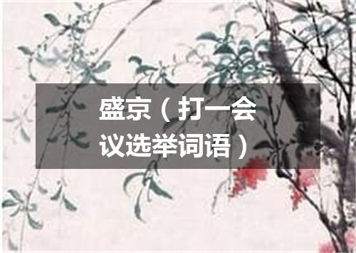 盛京（打一会议选举词语）