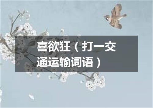 喜欲狂（打一交通运输词语）