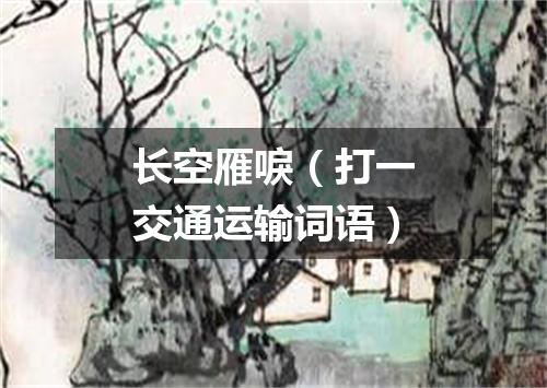 长空雁唳（打一交通运输词语）