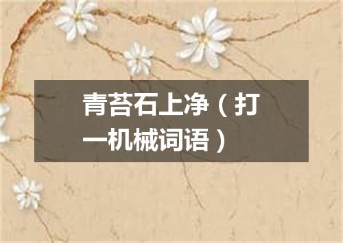 青苔石上净（打一机械词语）