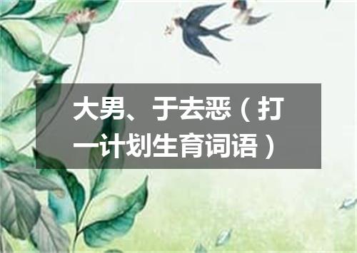 大男、于去恶（打一计划生育词语）