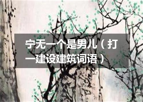 宁无一个是男儿（打一建设建筑词语）