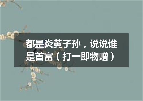 都是炎黄子孙，说说谁是首富（打一即物赠）