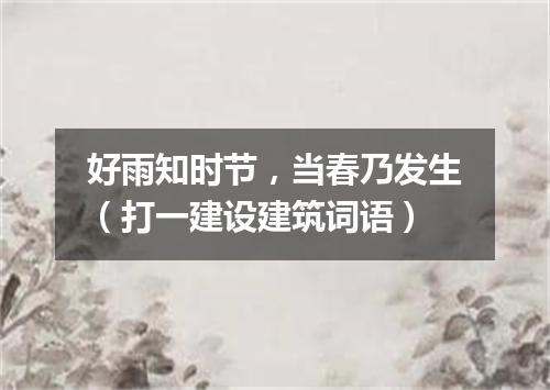 好雨知时节，当春乃发生（打一建设建筑词语）
