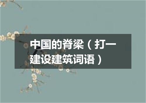 中国的脊梁（打一建设建筑词语）