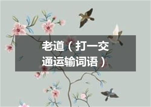老道（打一交通运输词语）
