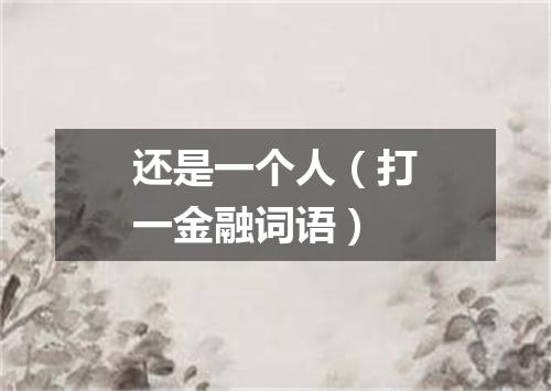 还是一个人（打一金融词语）