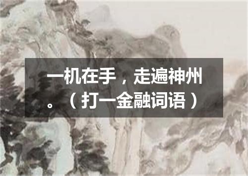一机在手，走遍神州。（打一金融词语）