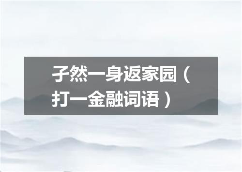 孑然一身返家园（打一金融词语）