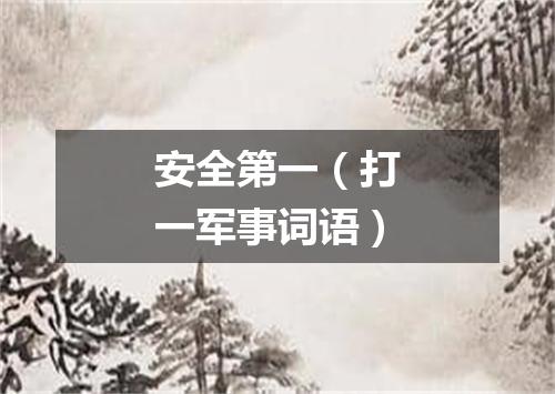 安全第一（打一军事词语）