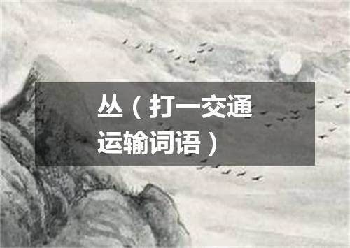 丛（打一交通运输词语）