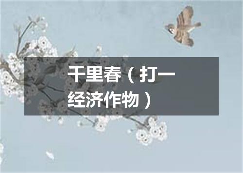 千里春（打一经济作物）