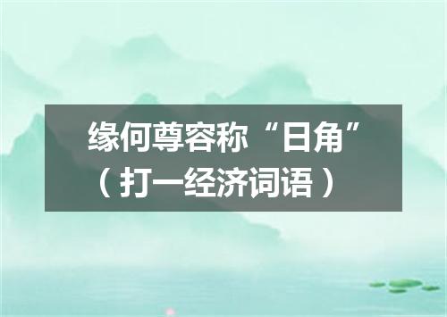 缘何尊容称“日角”（打一经济词语）